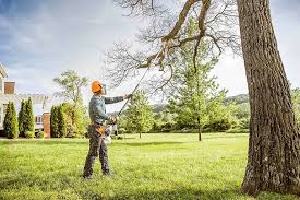 How Our Tree Care Process Works  in Bloomville, OH